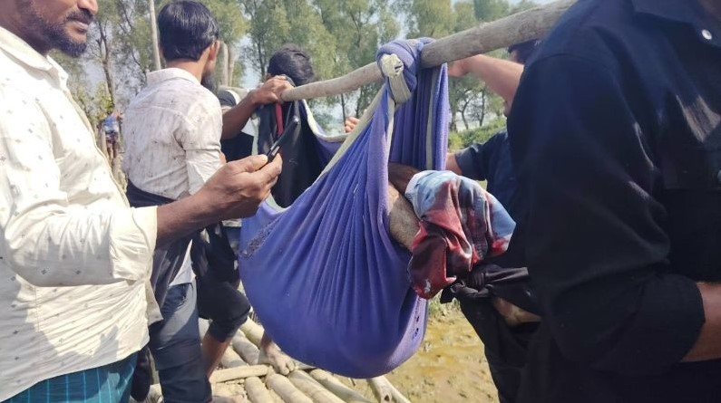 টেকনাফের স্থলমাইন বিস্ফোরণে এক জেলে গুরুতর আহত